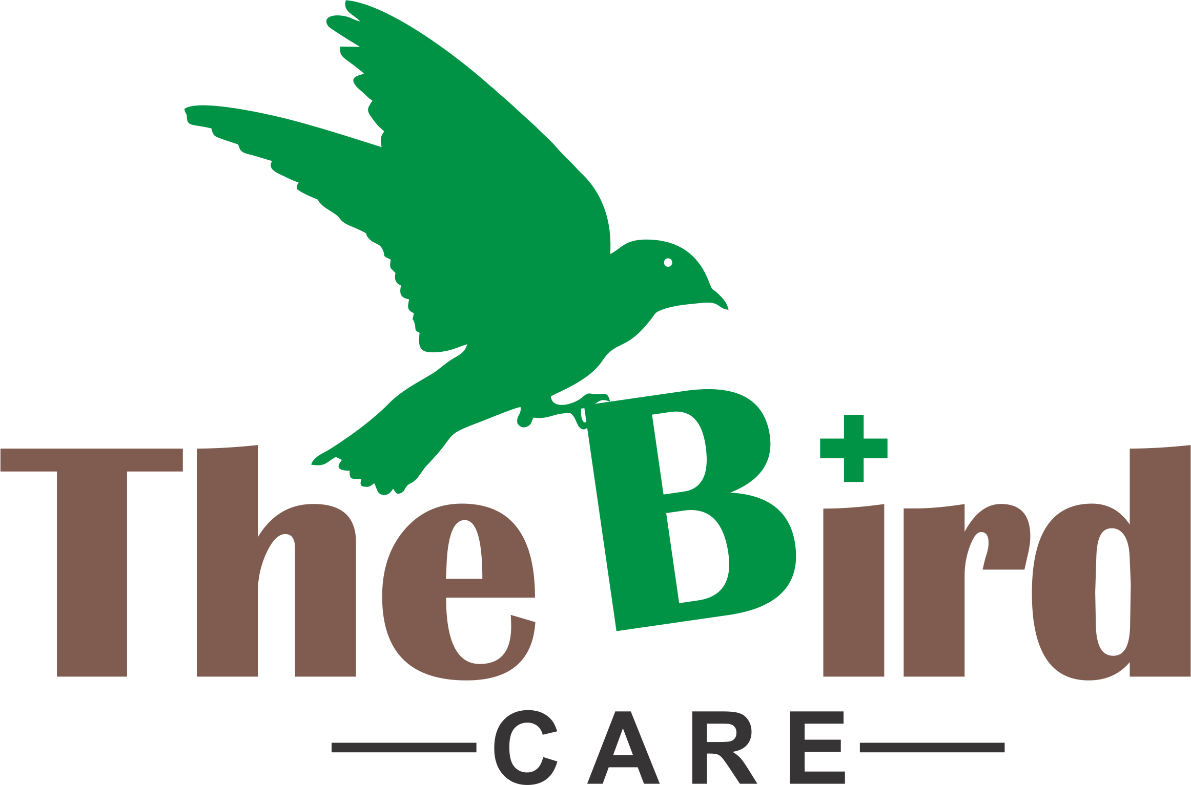 The Bird Care